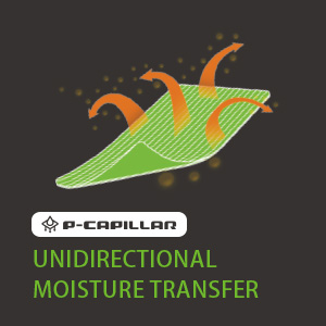 P- CAPILLAR tech-29.jpg